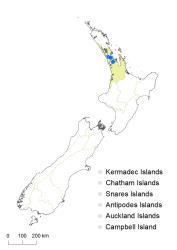 Sagittaria montevidensis distribution map based on databased records at AK, CHR, NZFRI, OTA, WAIK & WELT.
 Image: K.Boardman © Landcare Research 2020 CC BY 4.0